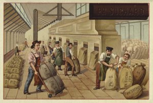 Packing sacks of cocoa in a factory by European School